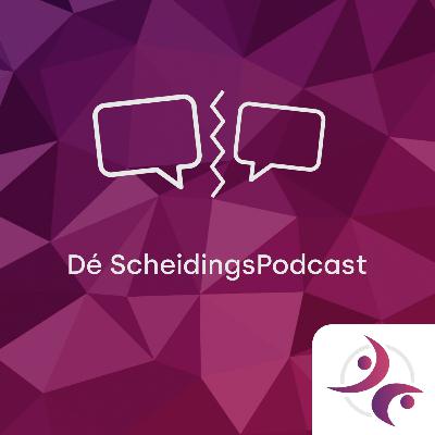 Kinderen redden van een vechtscheiding - Ivette Folkers