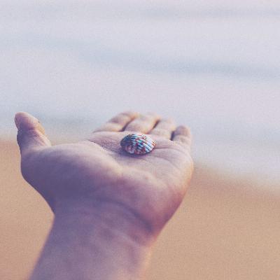 07 - Donner, recevoir.... Ressentir