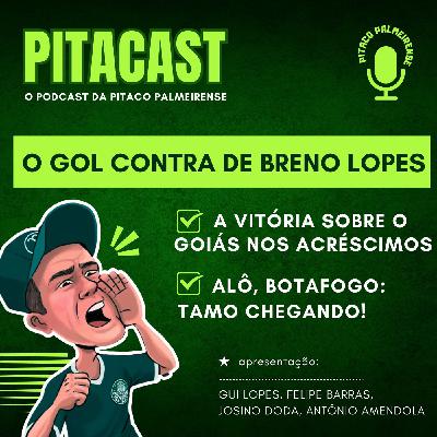 Pós-jogo Palmeiras x Goiás | Gol contra de Breno Lopes | Te cuida, Botafogo!