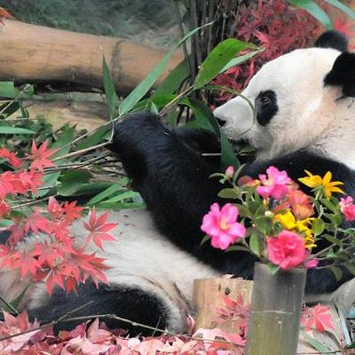 11月24日 10時の最新ニュース