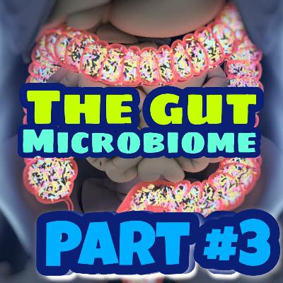 Part 3 of 4 with Dr. Gut and the Gut Microbiome