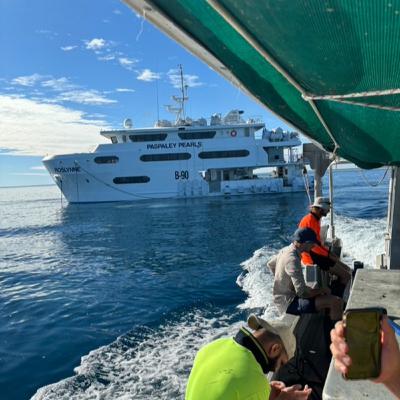 Matelot en ferme perlière - L'expérience de Victor