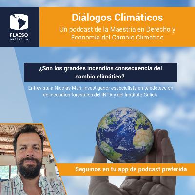 Ep #11: ¿Son los grandes incendios consecuencia del cambio climático?