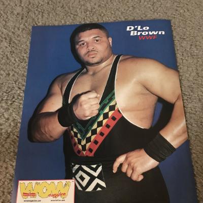 WWE Legend D-Lo Brown and J-Hood talk Bears vs Packers