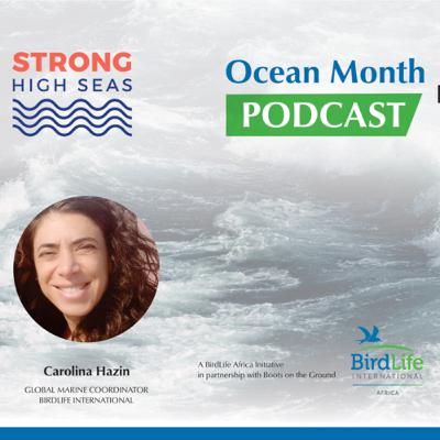 Carolina Hazin On Ocean Governance