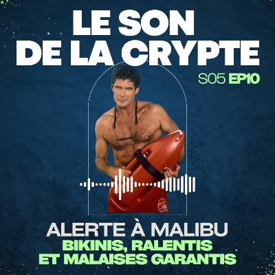 Retour sur le pilote d'Alerte à Malibu : bikinis, ralentis et malaises garantis