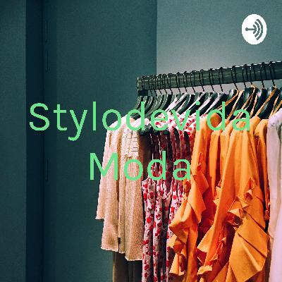 Ramas de estudio de la moda