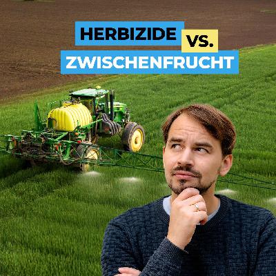 Bekämpfung von Zwischenfrüchten in der Folgekultur