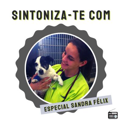 Sintoniza-te com... Sandra Félix Sintoniza-te com... Sandra Félix