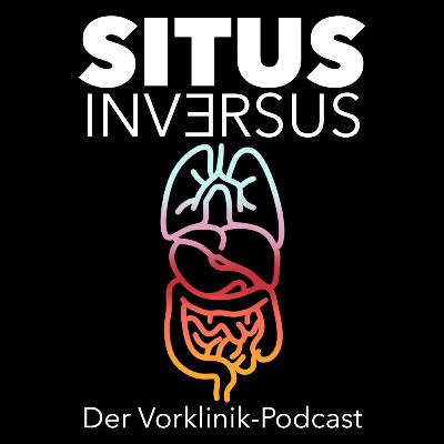 VOR X KLINIK | Dr. Olszewski, was ist Asthma?