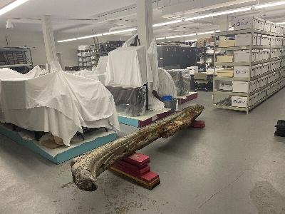 Storing Cape Cod's history Storing Cape Cod's history