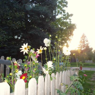 Luísa Is (dançando nos anéis de Saturno) Live! #7 Luísa Is (dançando nos anéis de Saturno) Live! #7