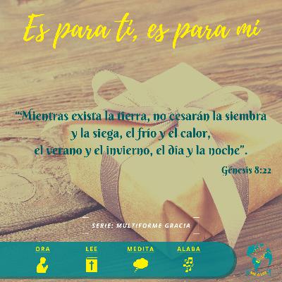 Es para ti, es para mi