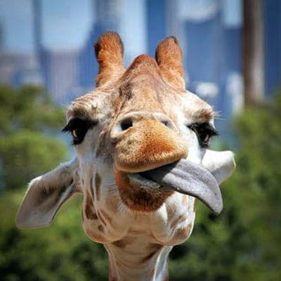 Ep. 35: HO UNA VISITA URGENTE!