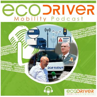 Un elefante en tu vehículo