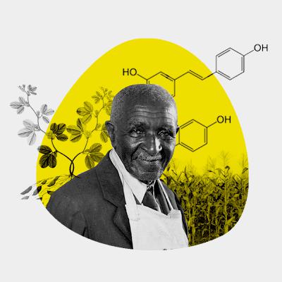 George Washington Carver's Kitchen Experiments & Regenerative Agriculture