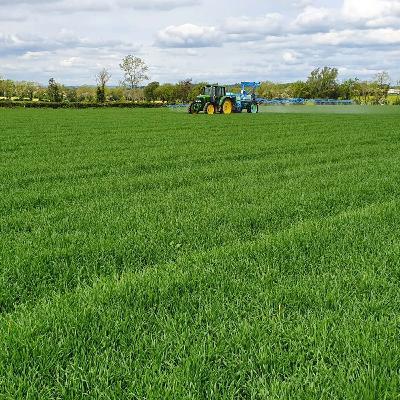 Make every input count: adding to the bottom line Make every input count: adding to the bottom line