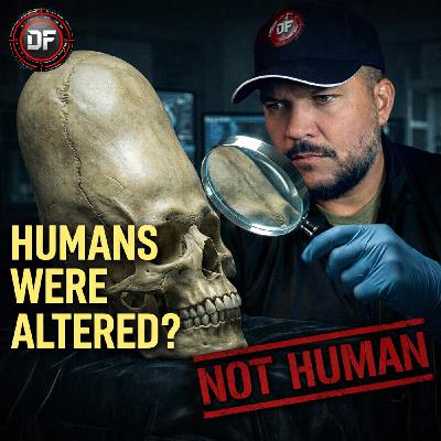 Did the Anunnaki Change What Humans Are? Did the Anunnaki Change What Humans Are?