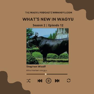 S2E12: AWA Politics and Black Wagyu