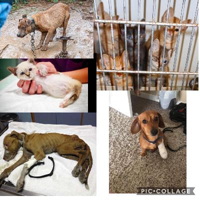 ABC’s: The Three Puppy-Tears