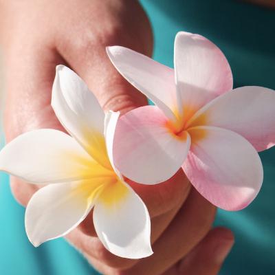 Episodio 51 - Meditación - Libro Frangipani Episodio 51 - Meditación - Libro Frangipani