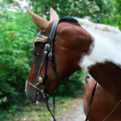 Bei den Pferden 😅✨😂☁️🐎🐴 Bei den Pferden 😅✨😂☁️🐎🐴