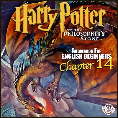 HP 14