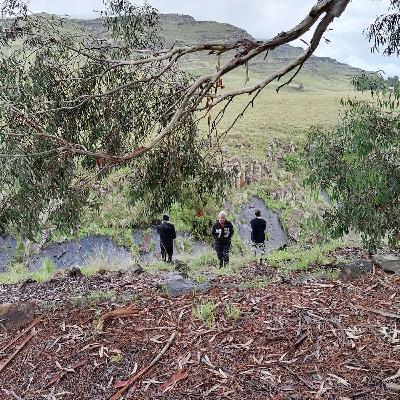 Pilot Episode: The Message