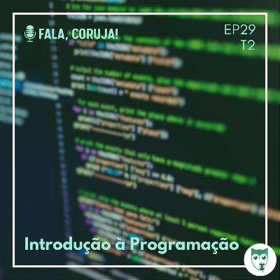 #29 - Introdução à Programação na graduação de Sistemas da Informação