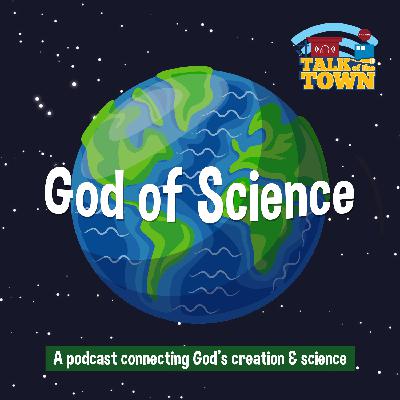 The Creation Narrative