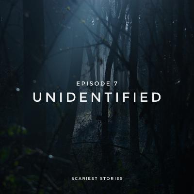 S1E7 - Unidentified
