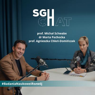 SGcHat: B_2.2 #BadaniaNaukoweIRozwój: Migracje zarobkowe w Unii Europejskiej
