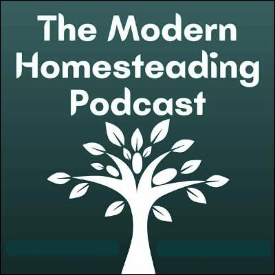 Dairy Sheep on the Homestead: Guest Rachel Hester