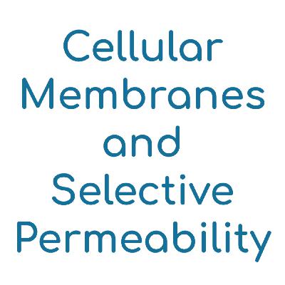 Cellular Membranes and Selective Permeability