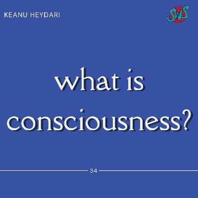WHAT IS CONSCIOUSNESS? with KEANU HEYDARI | take 34