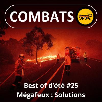 BEST OF D'ÉTÉ #25 : Mégafeux, perspectives et solutions 4/4