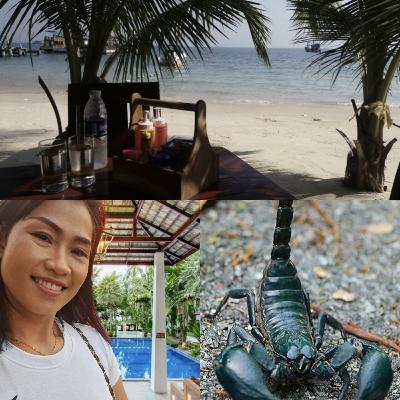 Let's talk about Koh Tao in 2024