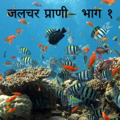 जलचर प्राणी- भाग १