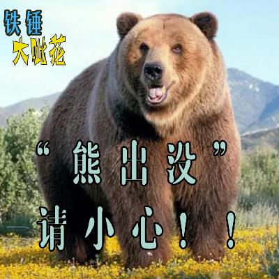 Vol039. 动物伤人∣大家一定小心“熊出没” Vol039. 动物伤人∣大家一定小心“熊出没”