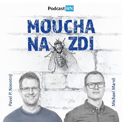Byznysový podcast HN: Fotbalové FOMO aneb Jak to bylo se Strnadem v Plzni a jak to bude s Baníkem?