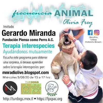 FRECUENCIA ANIMAL 16 CON OLIVIA FREY, INVITADO GERARDO MIRANDA HABLANDO DE TERAPIA INTERESPECIES PARTE 2