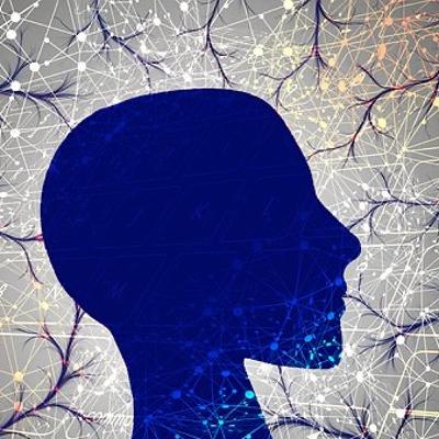 40.十年语文老师教阅读系列：爱上中文爱上阅读