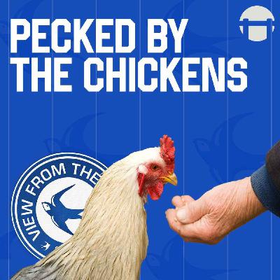 Pecked by the Chickens