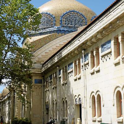 Vichy, ou les malheures de la fortune
