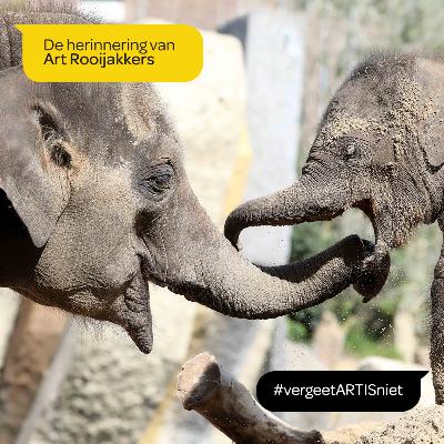 ARTIS vergeet je niet - De herinnering van Art Rooijakkers ARTIS vergeet je niet - De herinnering van Art Rooijakkers