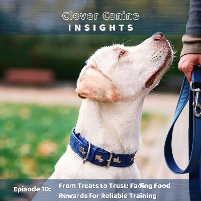 From Treats to Trust: Fading Food Rewards for Reliable Training