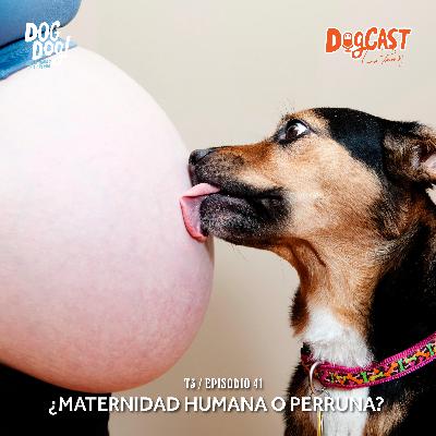 Maternidad, perruna, humana ¡maternidad al fin!
