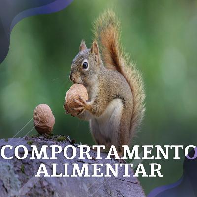 Comportamento Alimentar com Fívia de Araújo Lopes Comportamento Alimentar com Fívia de Araújo Lopes