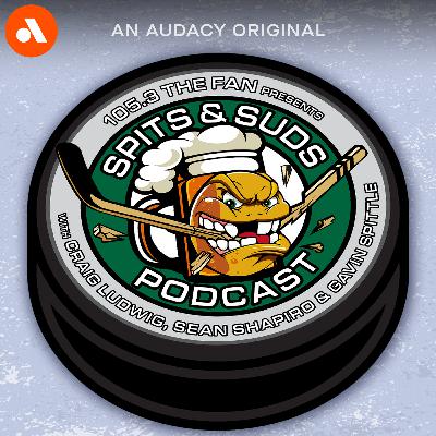 Did The Stars Finish As One Of the Top Fighting Teams, A Full NHL Fighting Breakdown | 'Spits & Suds' Did The Stars Finish As One Of the Top Fighting Teams, A Full NHL Fighting Breakdown | 'Spits & Suds'