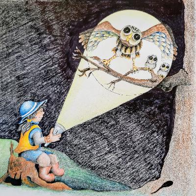 The World Needs More Birders